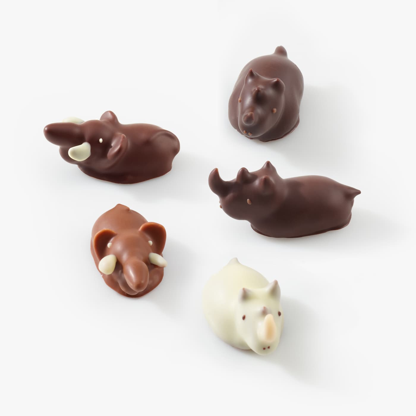 Chocolate Rhinos and Chocolate Elephants pictured outside the box for scale.
